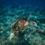 导航在线跳转进行中 36bu4