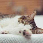 母子小说 iz50fz4xp