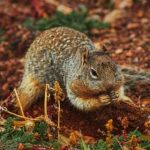 导航秘密入口研究所 pzucxn